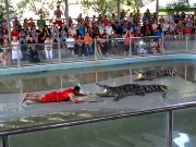 683  crocodile show.JPG